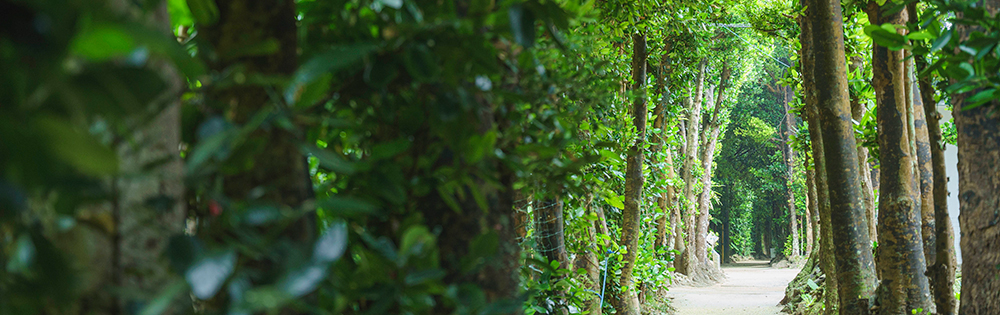 自社企画運営領域